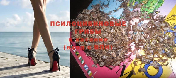 ПСИЛОЦИБИНОВЫЕ ГРИБЫ Осинники