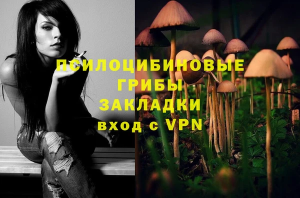 каннабис Аркадак
